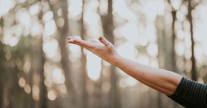 Bio-Identical Hormone Therapy (BHRT)