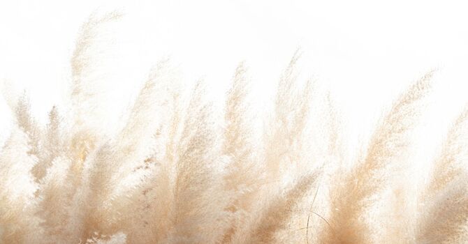 Weight-Loss Therapies